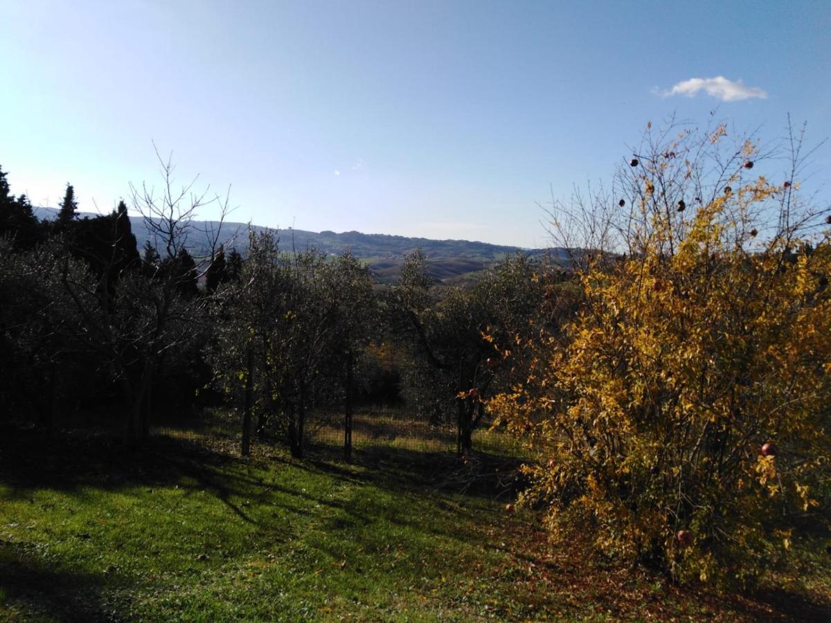 Appartamento Pietramilia Terricciola Esterno foto