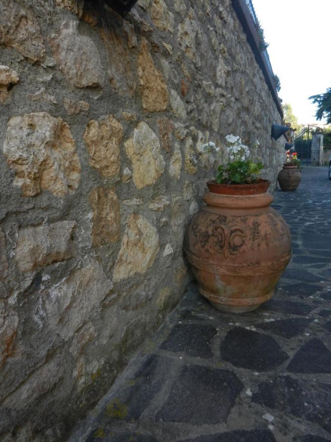 Appartamento Pietramilia Terricciola Esterno foto