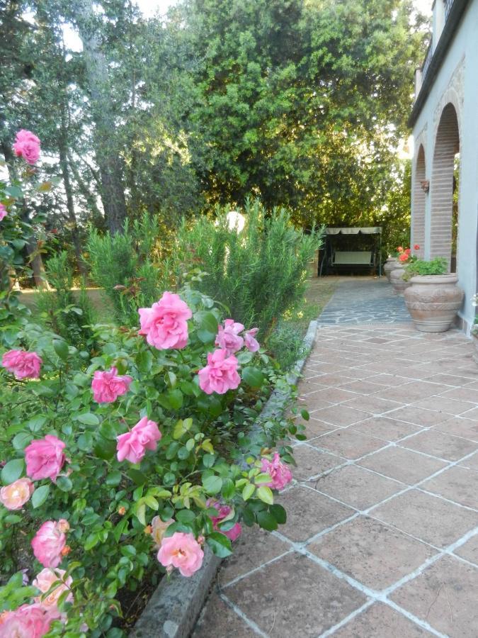 Appartamento Pietramilia Terricciola Esterno foto