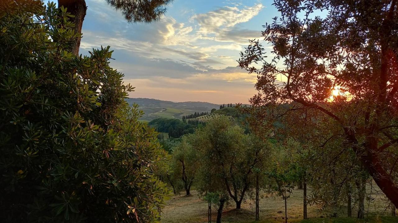 Appartamento Pietramilia Terricciola Esterno foto